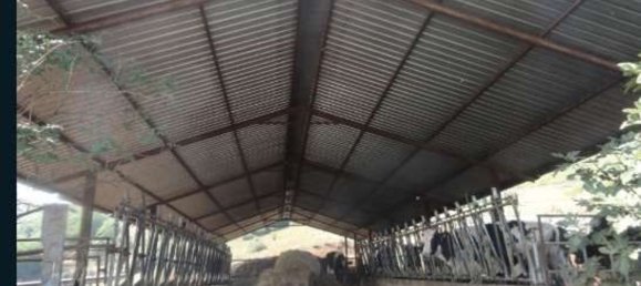 Studio in Colleferro, Italy No. 203036 7