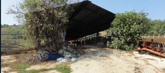 Studio in Colleferro, Italy No. 203036 6