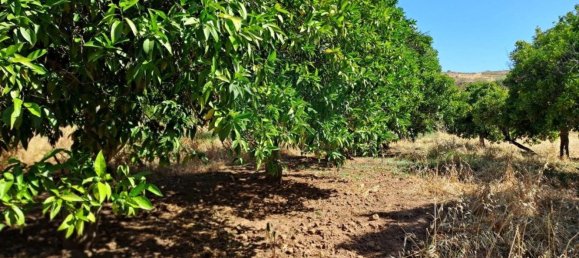 1280m² Land in Azinhal, Portugal No. 50030 5