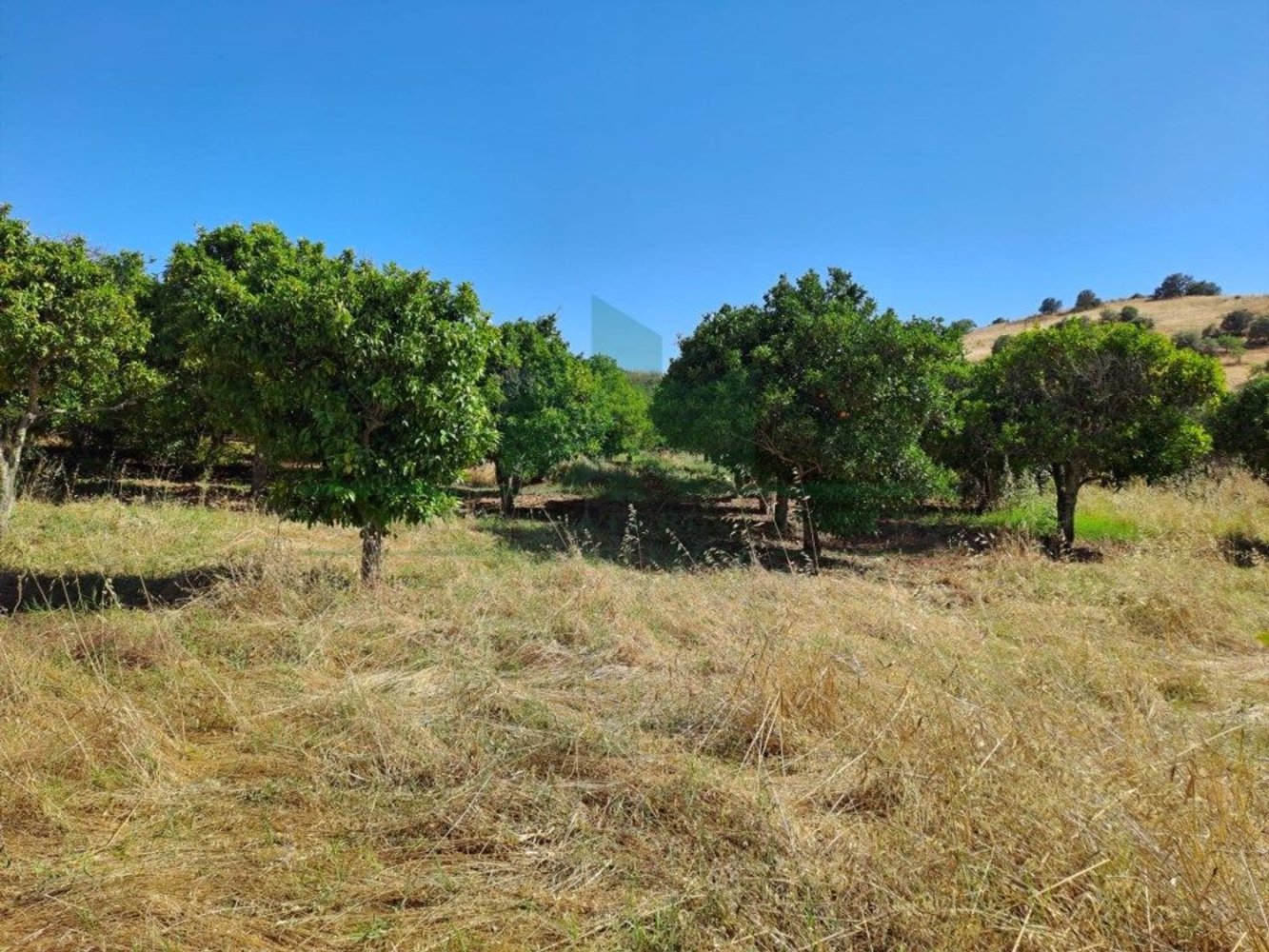 1280m² Land in Azinhal, Portugal No. 50030