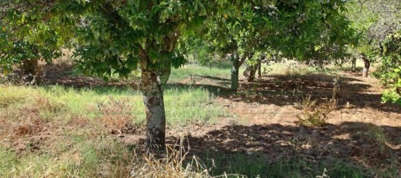 1280m² Land in Azinhal, Portugal No. 50030 26