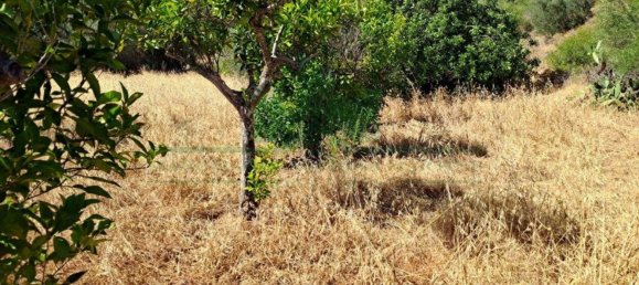 1280m² Land in Azinhal, Portugal No. 50030 33