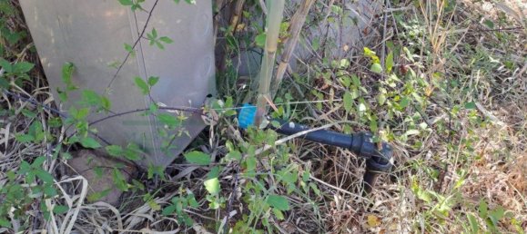 1280m² Land in Azinhal, Portugal No. 50030 2