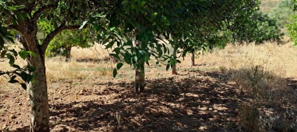 1280m² Land in Azinhal, Portugal No. 50030 34