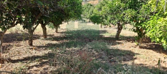 1280m² Land in Azinhal, Portugal No. 50030 27