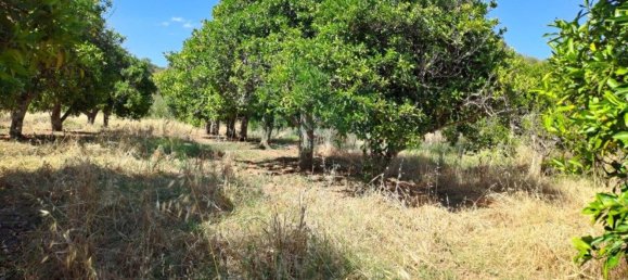 1280m² Land in Azinhal, Portugal No. 50030 38