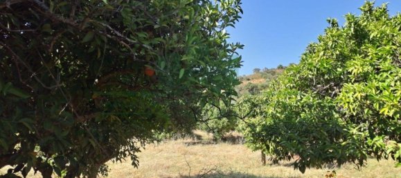 1280m² Land in Azinhal, Portugal No. 50030 41