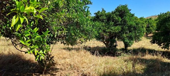 1280m² Land in Azinhal, Portugal No. 50030 19