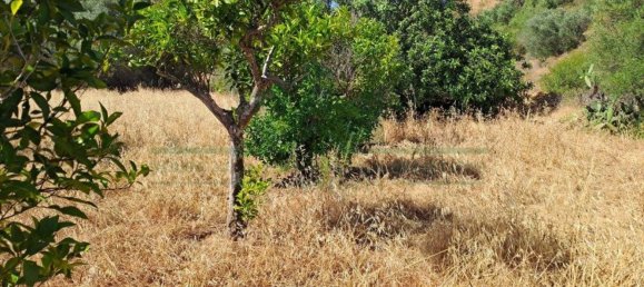 1280m² Land in Azinhal, Portugal No. 50030 11