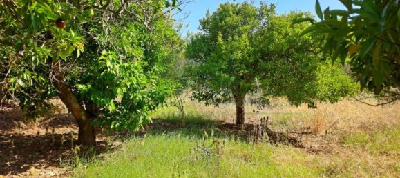 1280m² Land in Azinhal, Portugal No. 50030 35