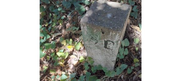 1280m² Land in Azinhal, Portugal No. 50030 31