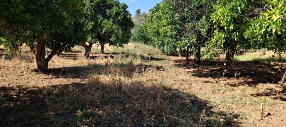 1280m² Land in Azinhal, Portugal No. 50030 14