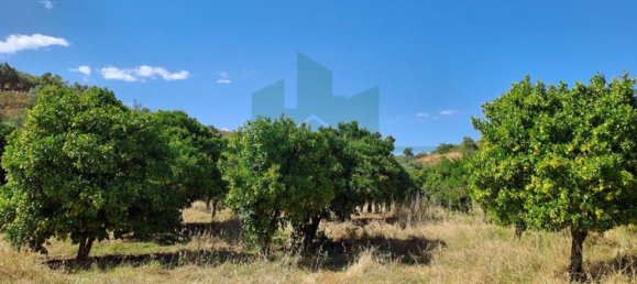 1280m² Land in Azinhal, Portugal No. 50030 4
