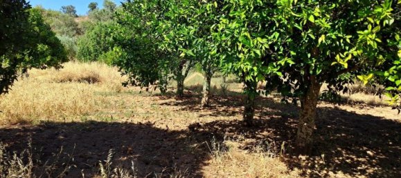 1280m² Land in Azinhal, Portugal No. 50030 6