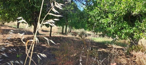 1280m² Land in Azinhal, Portugal No. 50030 24