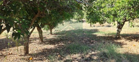 1280m² Land in Azinhal, Portugal No. 50030 23