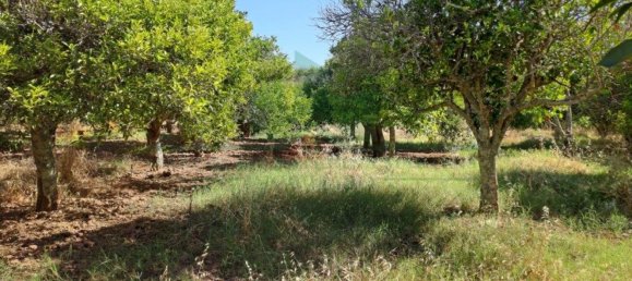 1280m² Land in Azinhal, Portugal No. 50030 10