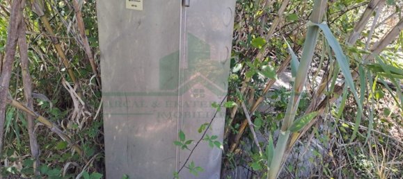 1280m² Land in Azinhal, Portugal No. 50030 25