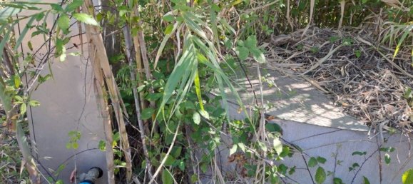 1280m² Land in Azinhal, Portugal No. 50030 36