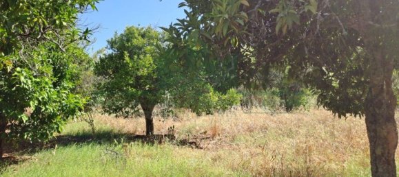 1280m² Land in Azinhal, Portugal No. 50030 29