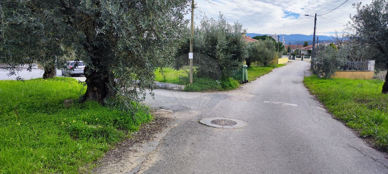  Land in Coimbra, Portugal No. 85166