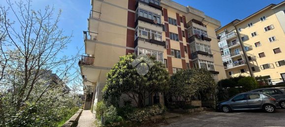 2 rooms Apartment in Potenza, Italy No. 233875 2