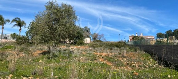 4800m² Land in Pechao, Portugal No. 57382 2