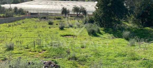 4800m² Land in Pechao, Portugal No. 57382 3