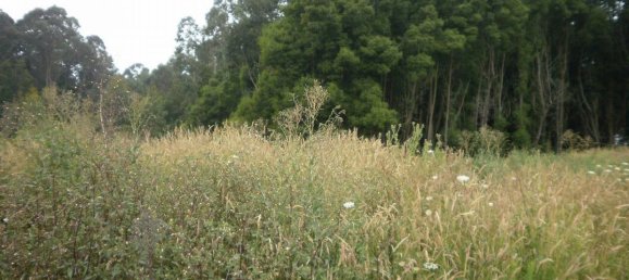 Terreno em Arcozelo, Portugal 640 m² N.º 60721 2