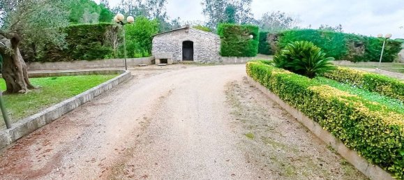 Villa de 4 dormitorios en Muro Leccese, Italy No. 276836 28