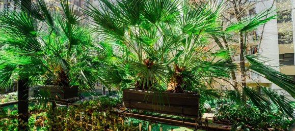 5 rooms Apartment in Milan, Italy No. 305511 39