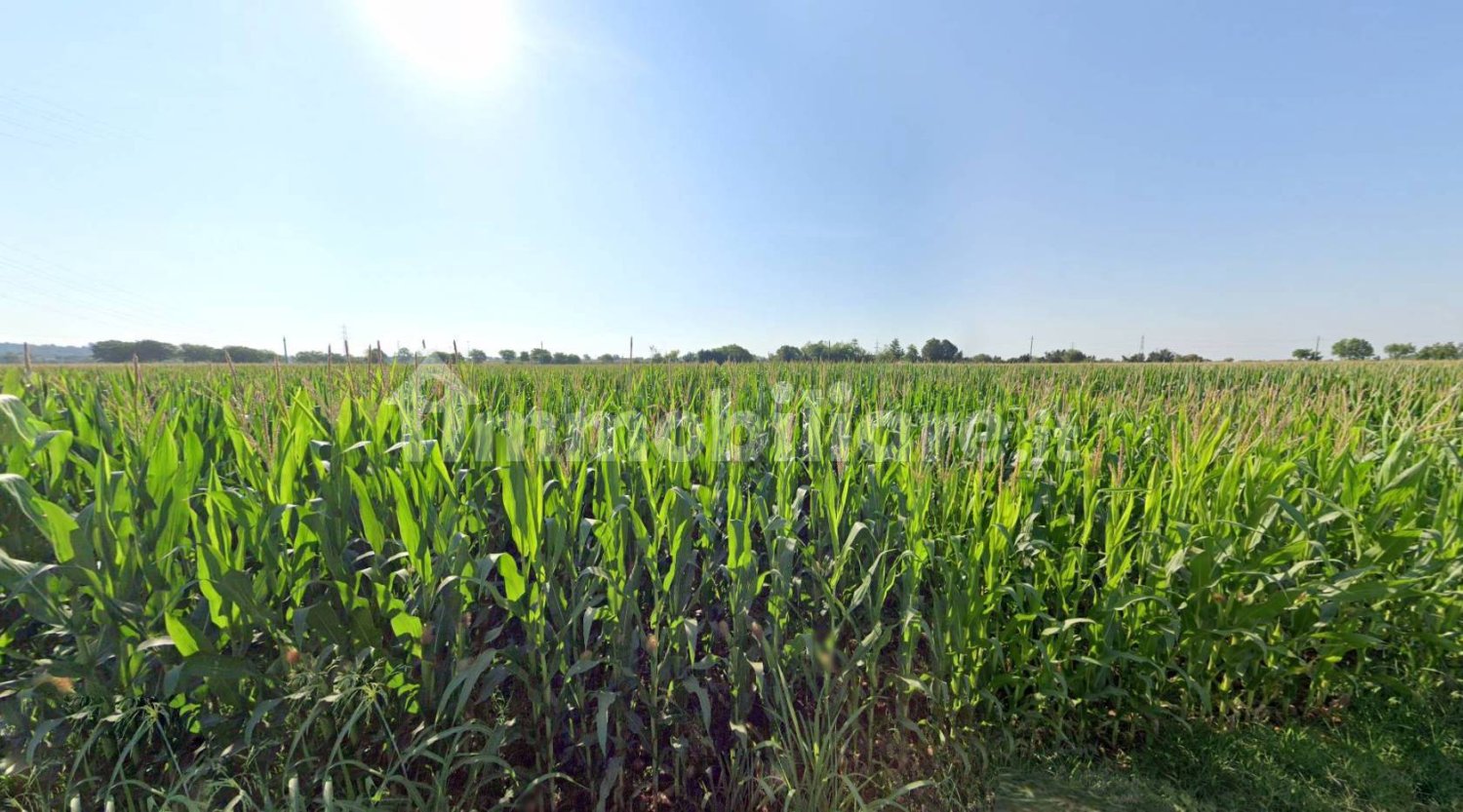 Terreno en Castiglione delle Stiviere, Italy 7330 m² No. 296813