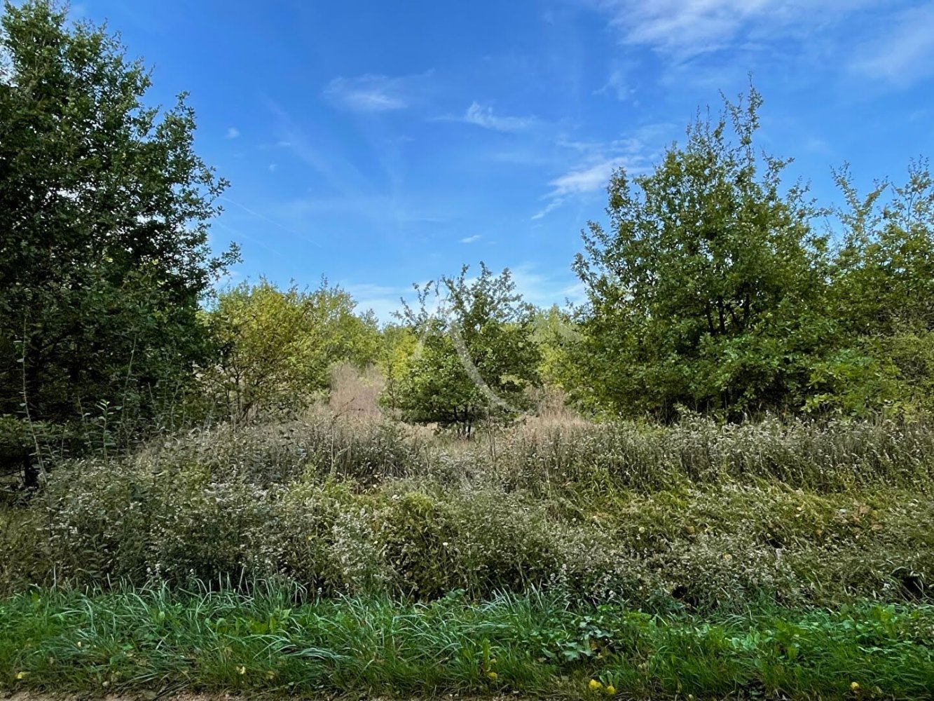 Grundstück in Romorantin-Lanthenay, France 2048m², Nr. 84674