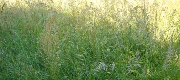 2 chambres Maison à Étriché, France No. 277077 4
