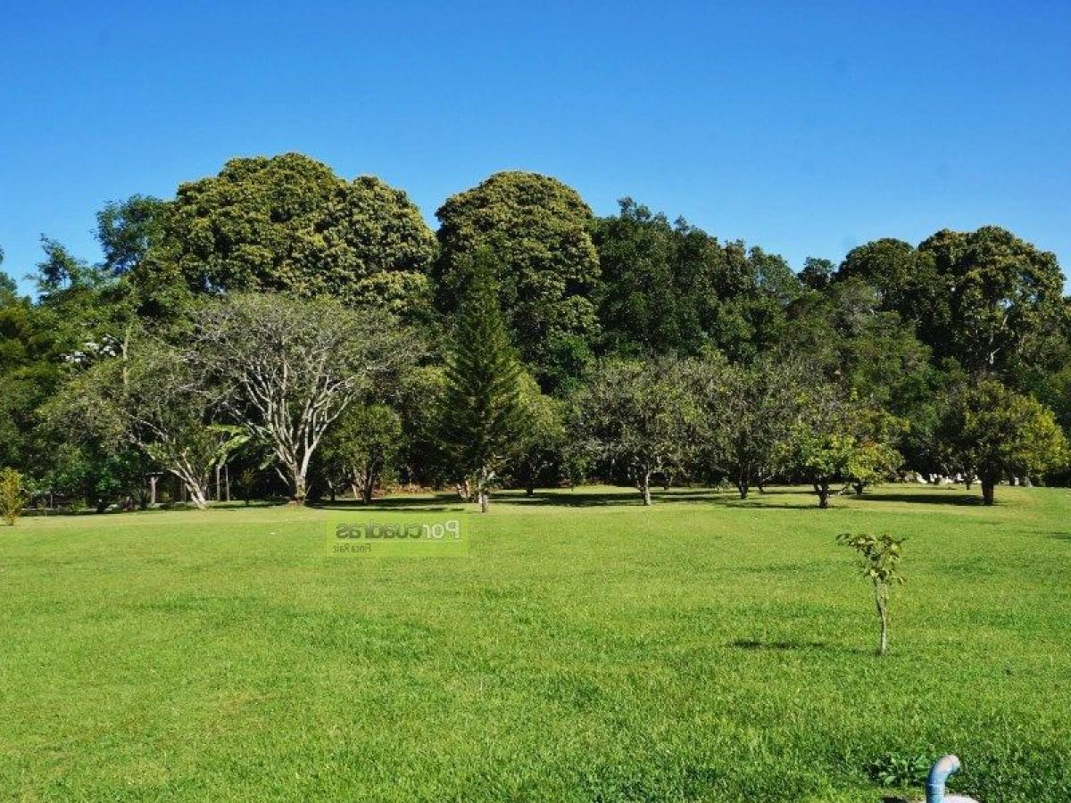  قطعة أرض في Antioquia, Colombia رقم 540