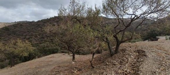 8777m² Land in Malaga, Spain No. 153865 22