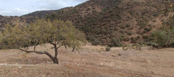 8777m² Land in Malaga, Spain No. 153865 24