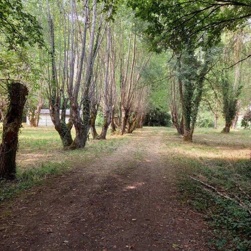 4047m² Land in Tarn-et-Garonne, France No. 281330