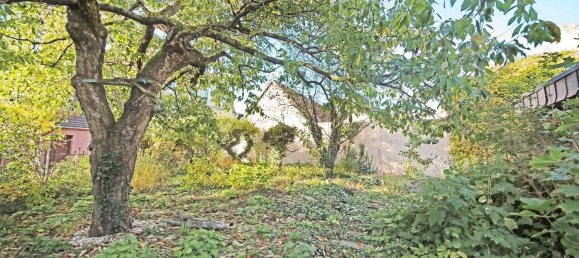 7-salle Maison de ville à Wittenberg, Germany No. 141725 36