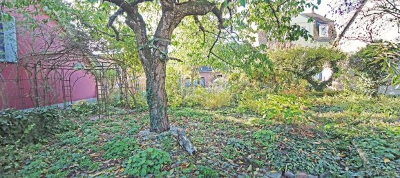 7-salle Maison de ville à Wittenberg, Germany No. 141725 35