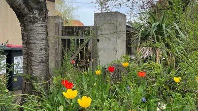 Земельный участок с 2 комнатами в Феликсдорф, Австрия № 166090