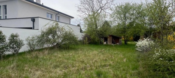 Земельный участок с 2 комнатами в Феликсдорф, Австрия № 166090 2