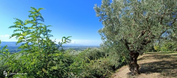 6 rooms Villa in Lamezia Terme, Italy No. 41577 30