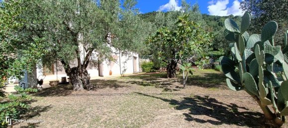 6 rooms Villa in Lamezia Terme, Italy No. 41577 28