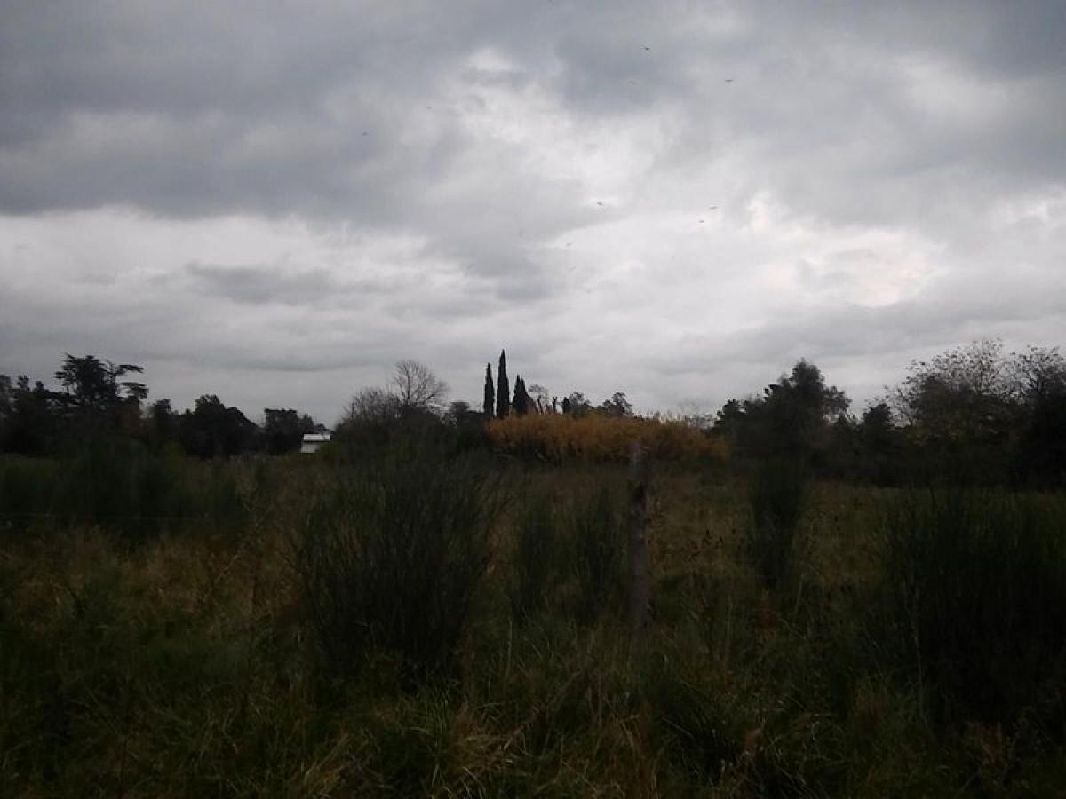  Land in Merlo, Argentina No. 121412