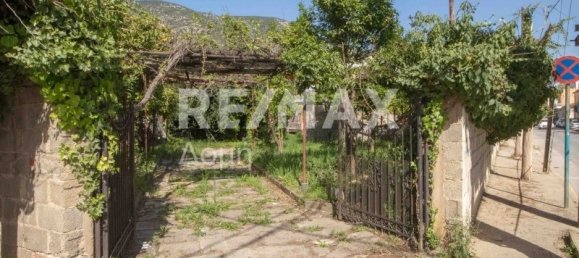 592m² Hotel in Magnesia, Greece No. 293 20