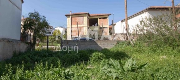 592m² Hotel in Magnesia, Greece No. 293 12