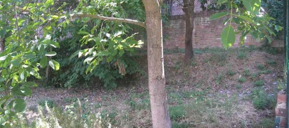 8 rooms House in Torrita di Siena, Italy No. 60902 25