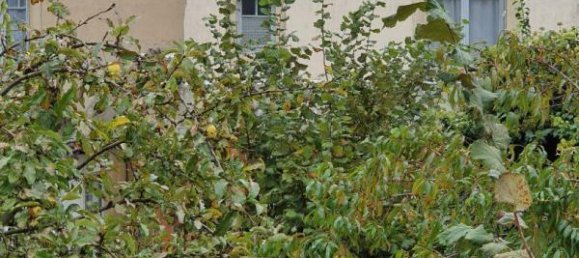 5 Schlafzimmer Haus in Deols, France, Nr. 51306 11