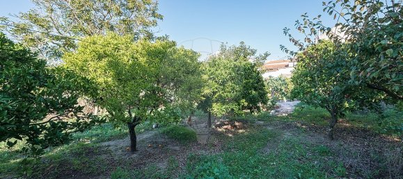 5 غرف نوم منزل في Obidos, Portugal رقم 20300 9